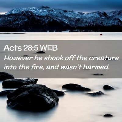 Picture 02 - Acts 28:5 WEB - However he shook off the creature into the fire, - Bible Verse Picture