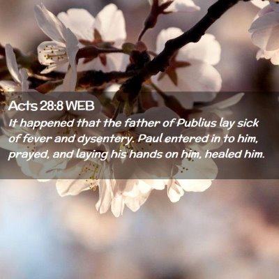 Picture 02 - Acts 28:8 WEB - It happened that the father of Publius lay sick - Bible Verse Picture