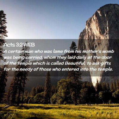 Picture 02 - Acts 3:2 WEB - A certain man who was lame from his mother's womb - Bible Verse Picture