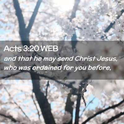 Picture 02 - Acts 3:20 WEB - and that he may send Christ Jesus, who was - Bible Verse Picture