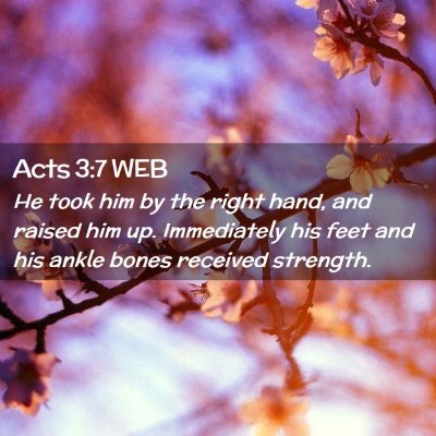 Picture 02 - Acts 3:7 WEB - He took him by the right hand, and raised him up. - Bible Verse Picture