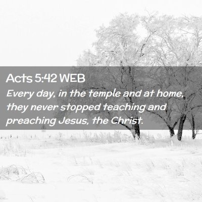 Picture 02 - Acts 5:42 WEB - Every day, in the temple and at home, they never - Bible Verse Picture