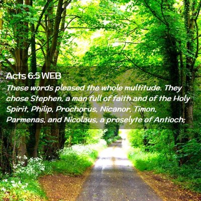 Picture 02 - Acts 6:5 WEB - These words pleased the whole multitude. They - Bible Verse Picture