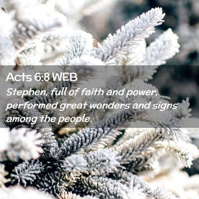 Picture 02 - Acts 6:8 WEB - Stephen, full of faith and power, performed great - Bible Verse Picture