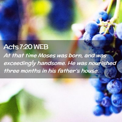 Picture 02 - Acts 7:20 WEB - At that time Moses was born, and was exceedingly - Bible Verse Picture