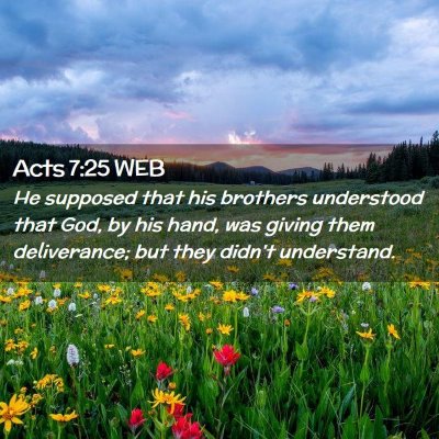 Picture 02 - Acts 7:25 WEB - He supposed that his brothers understood that - Bible Verse Picture