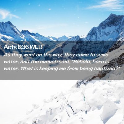 Picture 02 - Acts 8:36 WEB - As they went on the way, they came to some water, - Bible Verse Picture