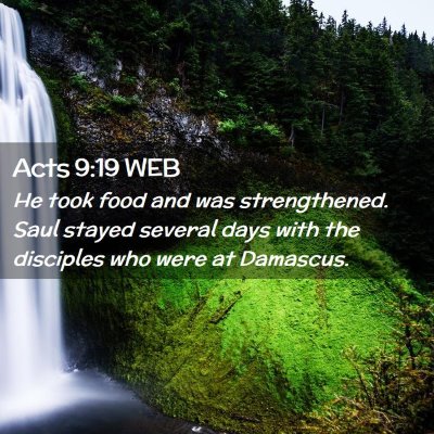 Picture 02 - Acts 9:19 WEB - He took food and was strengthened. Saul stayed - Bible Verse Picture