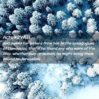 Picture 02 - Acts 9:2 WEB - and asked for letters from him to the synagogues - Bible Verse Picture