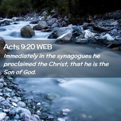 Picture 02 - Acts 9:20 WEB - Immediately in the synagogues he proclaimed the - Bible Verse Picture