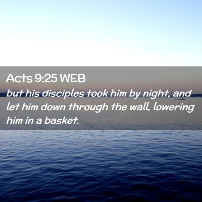 Picture 02 - Acts 9:25 WEB - but his disciples took him by night, and let him - Bible Verse Picture