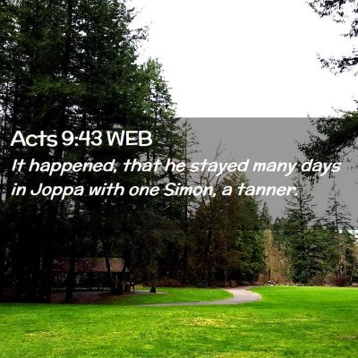 Picture 02 - Acts 9:43 WEB - It happened, that he stayed many days in Joppa - Bible Verse Picture