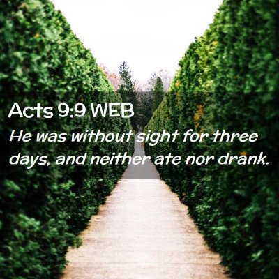 Picture 02 - Acts 9:9 WEB - He was without sight for three days, and neither - Bible Verse Picture