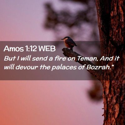 Picture 02 - Amos 1:12 WEB - But I will send a fire on Teman, And it will - Bible Verse Picture