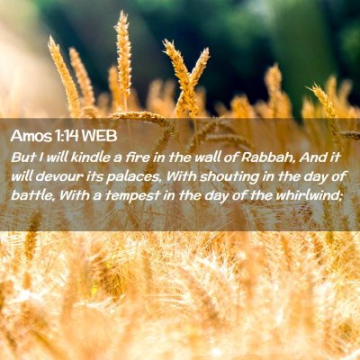 Picture 02 - Amos 1:14 WEB - But I will kindle a fire in the wall of Rabbah, - Bible Verse Picture
