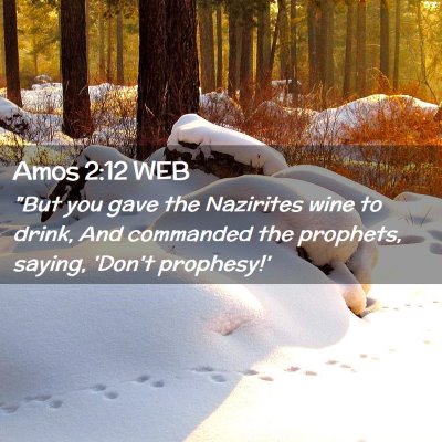 Picture 02 - Amos 2:12 WEB - 