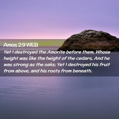 Picture 02 - Amos 2:9 WEB - Yet I destroyed the Amorite before them, Whose - Bible Verse Picture