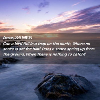 Picture 02 - Amos 3:5 WEB - Can a bird fall in a trap on the earth, Where no - Bible Verse Picture