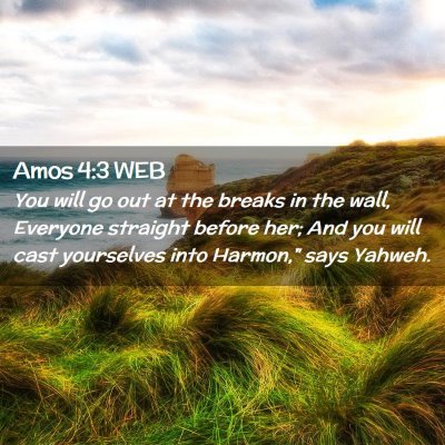 Picture 02 - Amos 4:3 WEB - You will go out at the breaks in the wall, - Bible Verse Picture