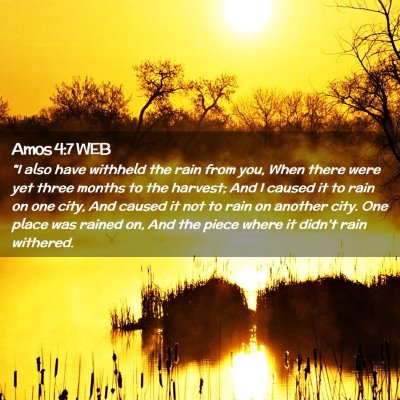 Picture 02 - Amos 4:7 WEB - 