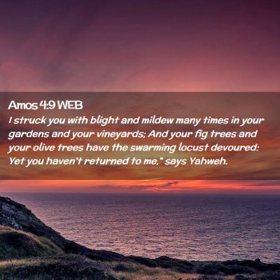 Picture 02 - Amos 4:9 WEB - I struck you with blight and mildew many times in - Bible Verse Picture