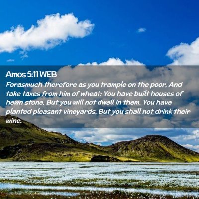 Picture 02 - Amos 5:11 WEB - Forasmuch therefore as you trample on the poor, - Bible Verse Picture