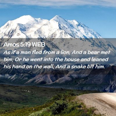 Picture 02 - Amos 5:19 WEB - As if a man fled from a lion, And a bear met him; - Bible Verse Picture