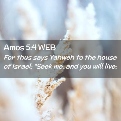 Picture 02 - Amos 5:4 WEB - For thus says Yahweh to the house of Israel: - Bible Verse Picture