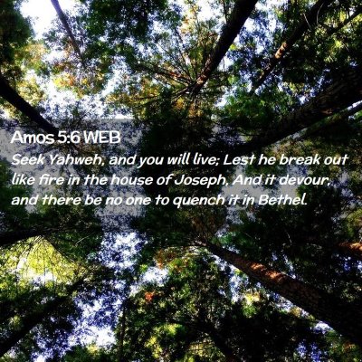 Picture 02 - Amos 5:6 WEB - Seek Yahweh, and you will live; Lest he break out - Bible Verse Picture