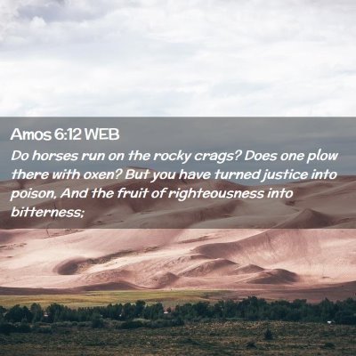 Picture 02 - Amos 6:12 WEB - Do horses run on the rocky crags? Does one plow - Bible Verse Picture