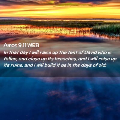 Picture 02 - Amos 9:11 WEB - In that day I will raise up the tent of David who - Bible Verse Picture