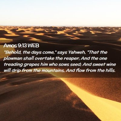 Picture 02 - Amos 9:13 WEB - 