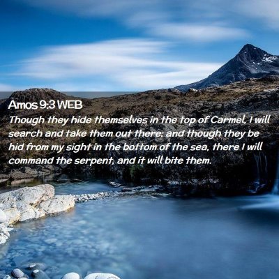 Picture 02 - Amos 9:3 WEB - Though they hide themselves in the top of Carmel, - Bible Verse Picture