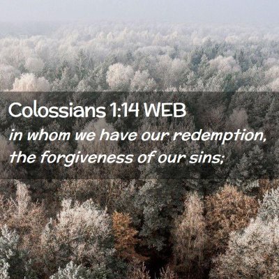 Picture 02 - Colossians 1:14 WEB - in whom we have our redemption, the forgiveness - Bible Verse Picture