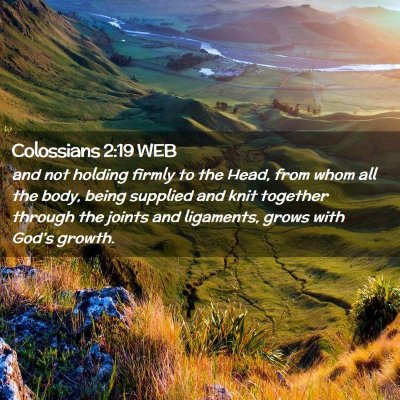 Picture 02 - Colossians 2:19 WEB - and not holding firmly to the Head, from whom all - Bible Verse Picture