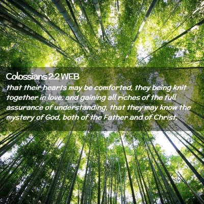 Picture 02 - Colossians 2:2 WEB - that their hearts may be comforted, they being - Bible Verse Picture