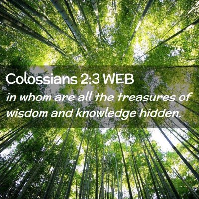 Picture 02 - Colossians 2:3 WEB - in whom are all the treasures of wisdom and - Bible Verse Picture