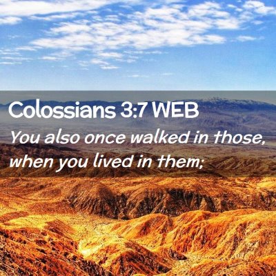 Picture 02 - Colossians 3:7 WEB - You also once walked in those, when you lived in - Bible Verse Picture