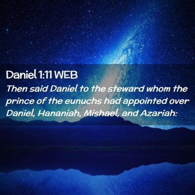 Picture 02 - Daniel 1:11 WEB - Then said Daniel to the steward whom the prince - Bible Verse Picture