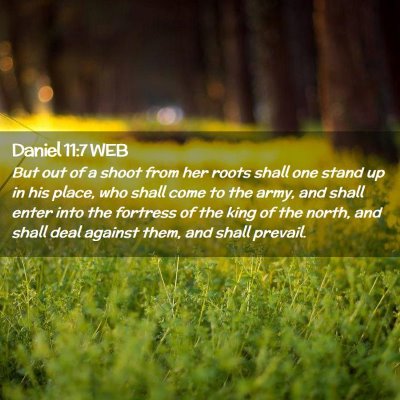 Picture 02 - Daniel 11:7 WEB - But out of a shoot from her roots shall one stand - Bible Verse Picture