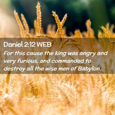 Picture 02 - Daniel 2:12 WEB - For this cause the king was angry and very - Bible Verse Picture