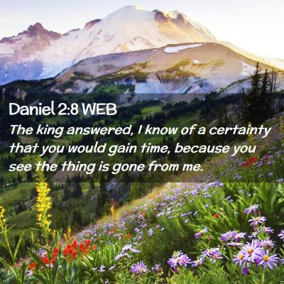 Picture 02 - Daniel 2:8 WEB - The king answered, I know of a certainty that you - Bible Verse Picture