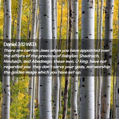 Picture 02 - Daniel 3:12 WEB - There are certain Jews whom you have appointed - Bible Verse Picture