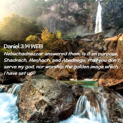 Picture 02 - Daniel 3:14 WEB - Nebuchadnezzar answered them, Is it on purpose, - Bible Verse Picture