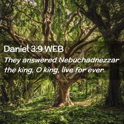 Picture 02 - Daniel 3:9 WEB - They answered Nebuchadnezzar the king, O king, - Bible Verse Picture