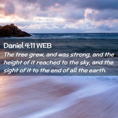 Picture 02 - Daniel 4:11 WEB - The tree grew, and was strong, and the height of - Bible Verse Picture