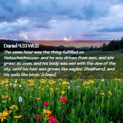 Picture 02 - Daniel 4:33 WEB - The same hour was the thing fulfilled on - Bible Verse Picture