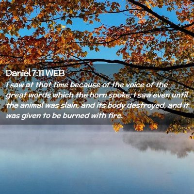 Picture 02 - Daniel 7:11 WEB - I saw at that time because of the voice of the - Bible Verse Picture