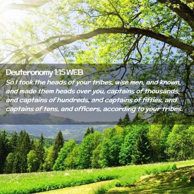 Picture 02 - Deuteronomy 1:15 WEB - So I took the heads of your tribes, wise men, and - Bible Verse Picture