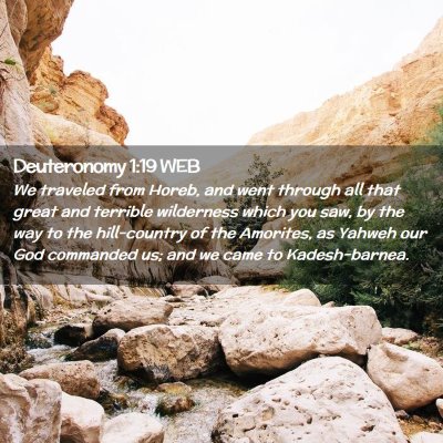 Picture 02 - Deuteronomy 1:19 WEB - We traveled from Horeb, and went through all that - Bible Verse Picture
